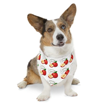 2023 - Cumming Cider Apple and Half Pattern Pet Bandana Collar