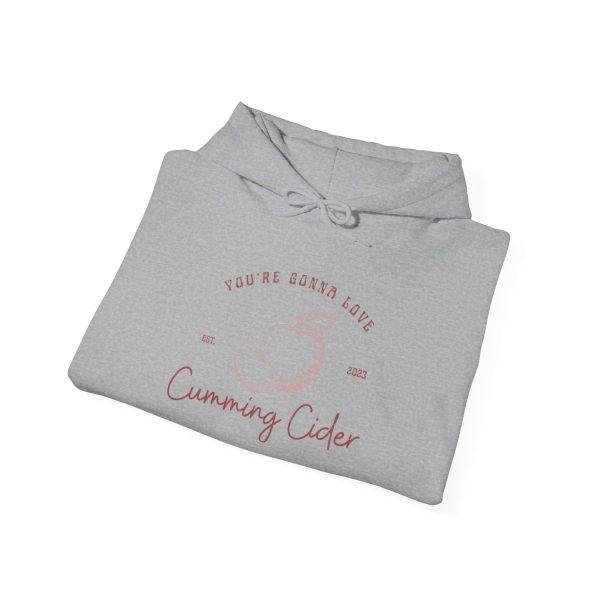 2023 - You're Gonna Love Cumming Cider Heavy Hooded Sweatshirt - Image 12