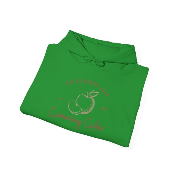 2023 - You're Gonna Love Cumming Cider Heavy Hooded Sweatshirt - Image 20